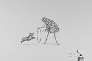 Frontline: Fleas: Corgi
